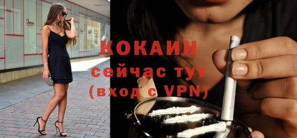 ешки Каменногорск