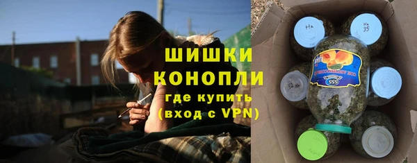 тгк Каменка