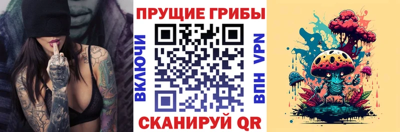 Купить  Томмот  Псилоцибиновые грибы ЛСД 